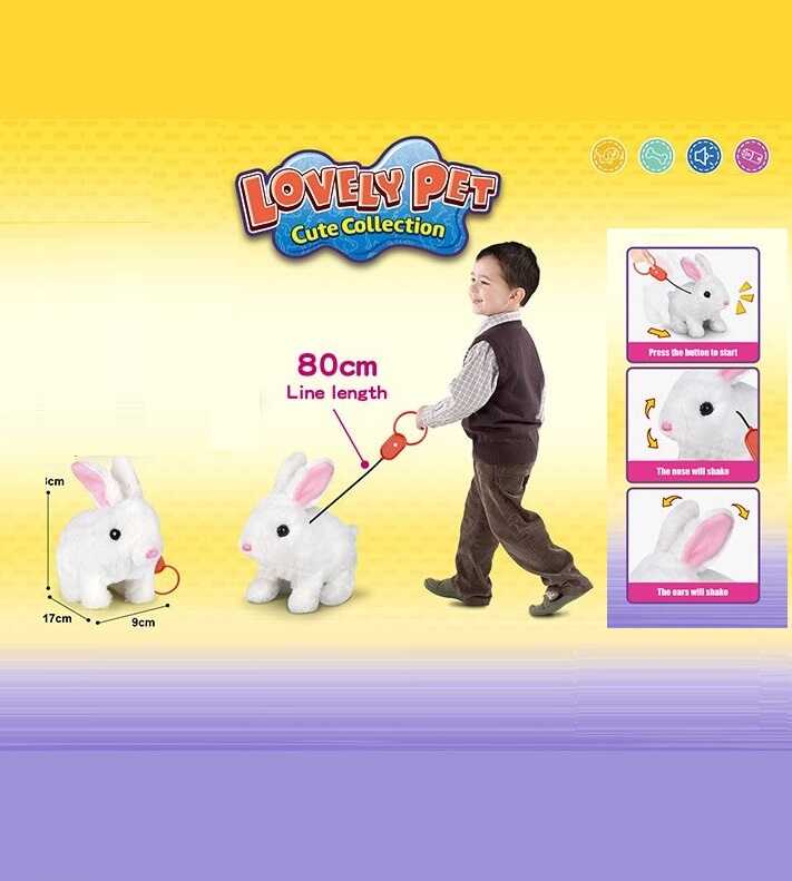 Улюбленець 925-31 (48/2) ходить, на повідці, у пакеті