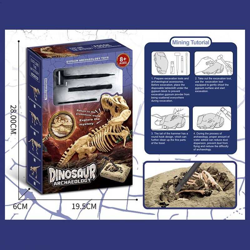 Розкопки KL 44 (60) гіпсовий блок, інструменти, в коробці