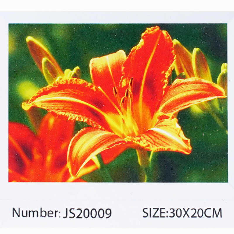 Алмазна мозаїка JS 20009 (50) "TK Group", "Квіти", 30х20 в коробці