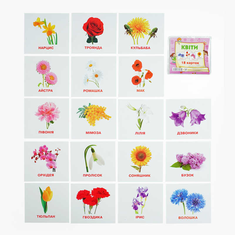 гр Картки міні (18 карток) "Квіти" 9789669753694 (40) "Jumbi"