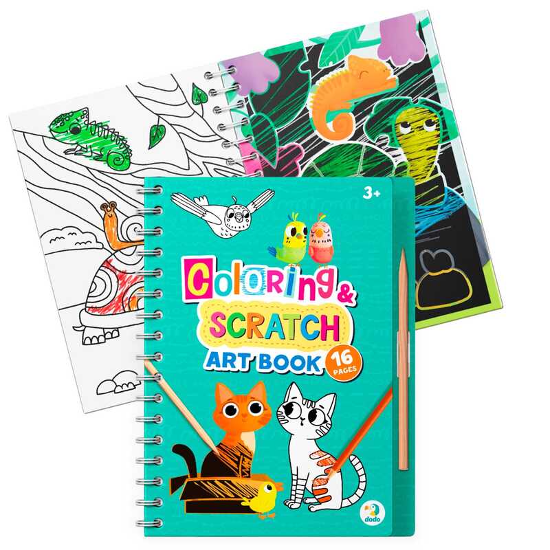 гр Набір для творчості 2в1. Розмальовки та гравюри "Домашні тварини" 300490 (1) "DoDo"