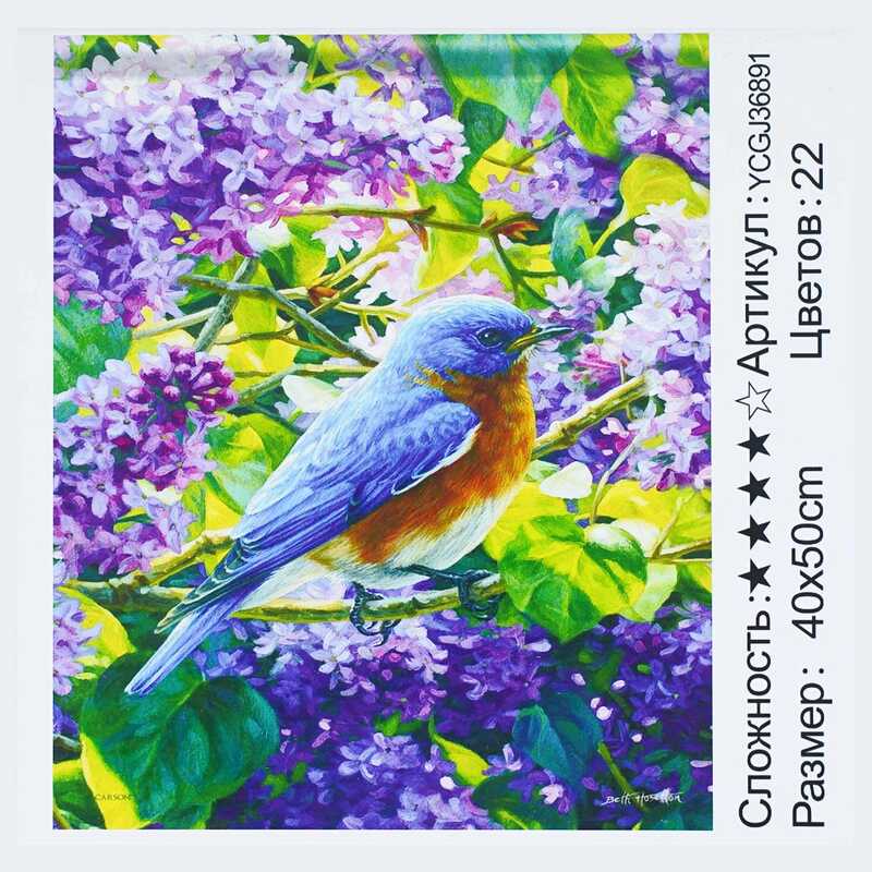 Картина за номерами YCGJ 36891 (30) "TK Group", 40х50 см, “Пташка”, в коробці