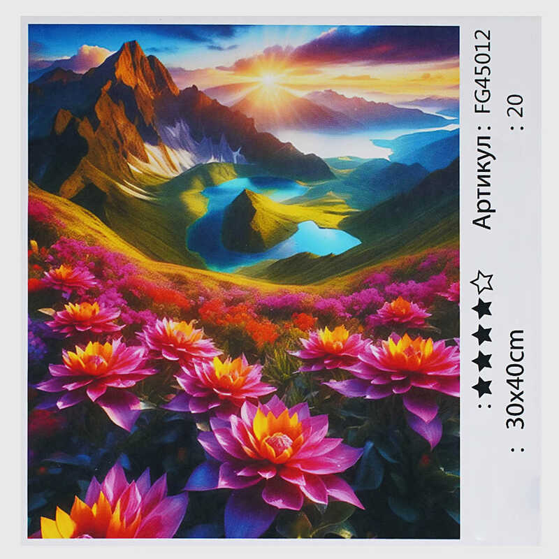 гр Картина за номерами FG 45012 (30) "4FUN Game Club", 30х40 см, в коробці