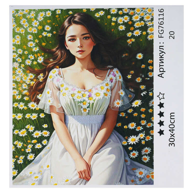 гр Картина за номерами FG 76116 (30) "4FUN Game Club", 30х40 см, в коробці