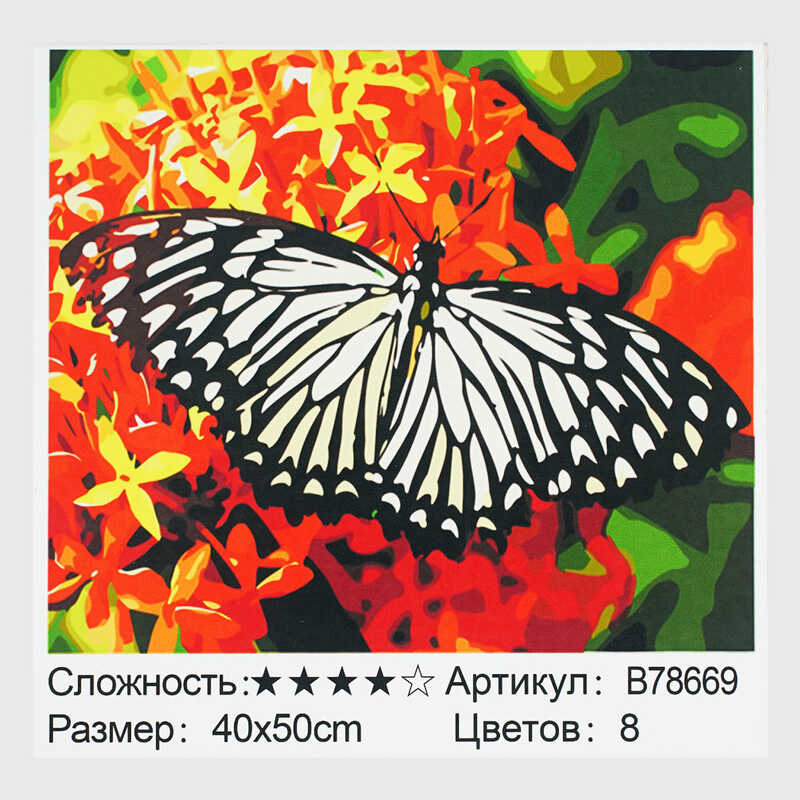 Картина за номерами + Алмазна мозаїка B 78669 (30) "TK Group", 40x50 см, “Метелик”, в коробці