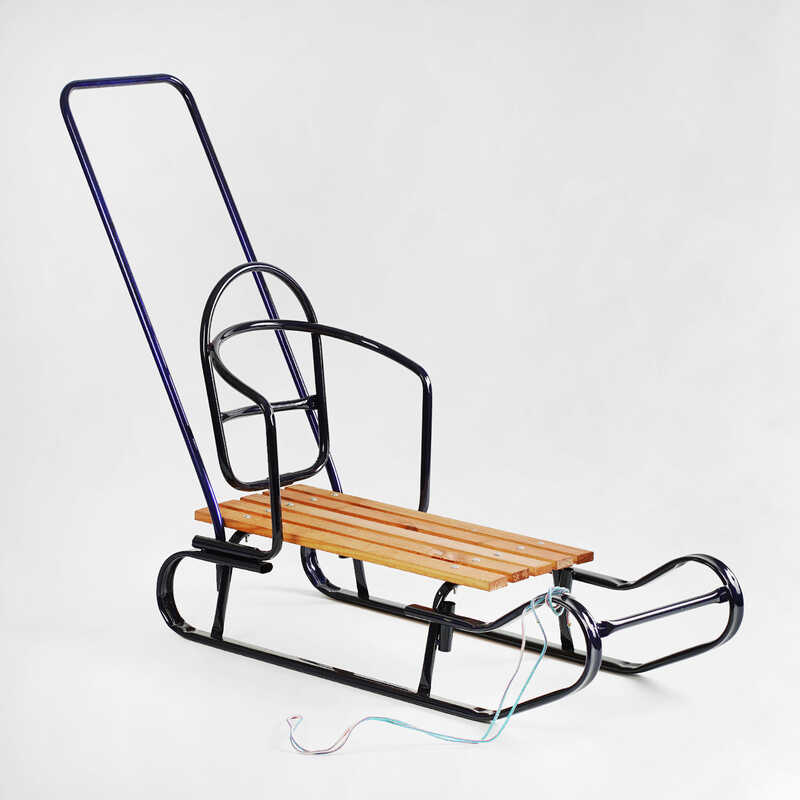 гр Санки "Королівські" 24162 плоскі полози, з ручкою, колір синій  (1)