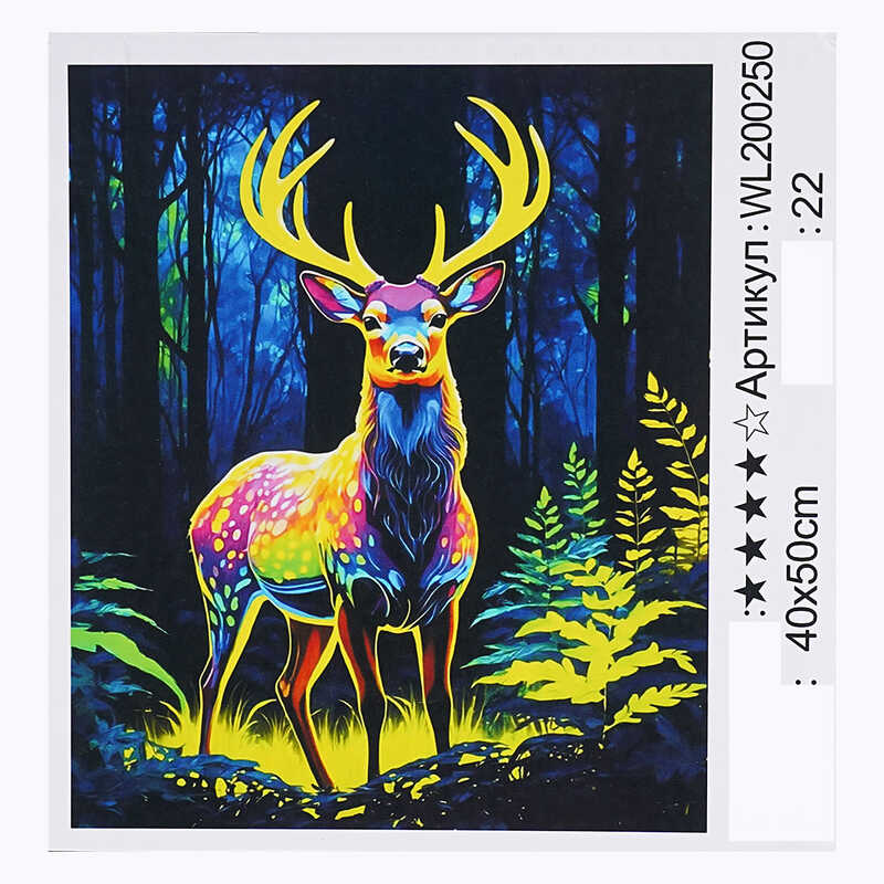 Картина за номерами WL 200250 (30) "WToys", 40х50 см, світиться у темряві, в коробці