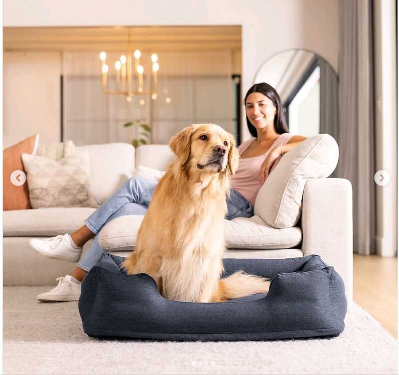 Intex Лежанка для домашніх тварин 48702 NP (1) Розмір:97/74/23 см, Для собак вагою до 22.7 кг